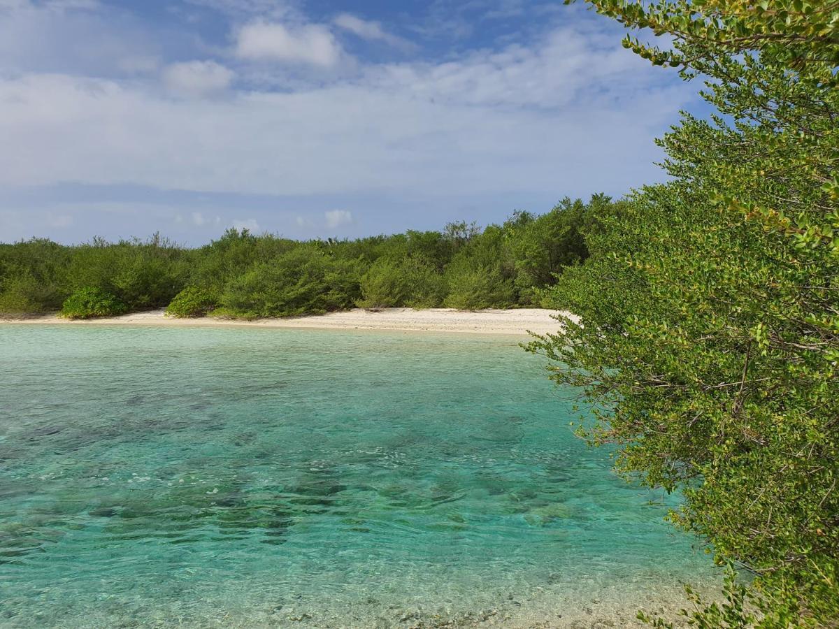 فندق Orimas Retreat ثولوسدو المظهر الخارجي الصورة